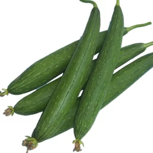 Sponge Gourd Seeds F-1 Hybrid US-291 (Dark Green)