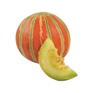 Muskmelon Seeds Kajri