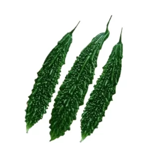 Bitter Gourd Seeds F-1 Hybrid US 444