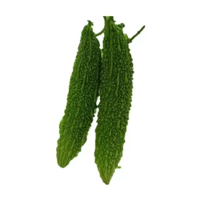 Bitter Gourd Seeds F-1 Hybrid US 555