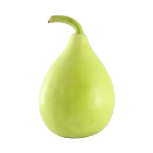 Bottle Gourd Seeds F-1 Hybrid US-355 (Komal Type)