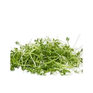 Cress-Micro Green Seeds