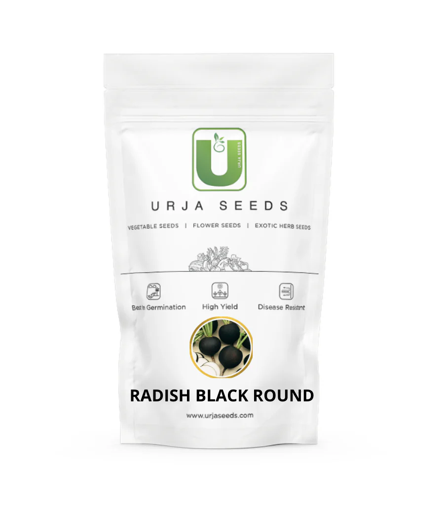 Radish Seeds Black Round-Kitchen Garden Packing - Image 2
