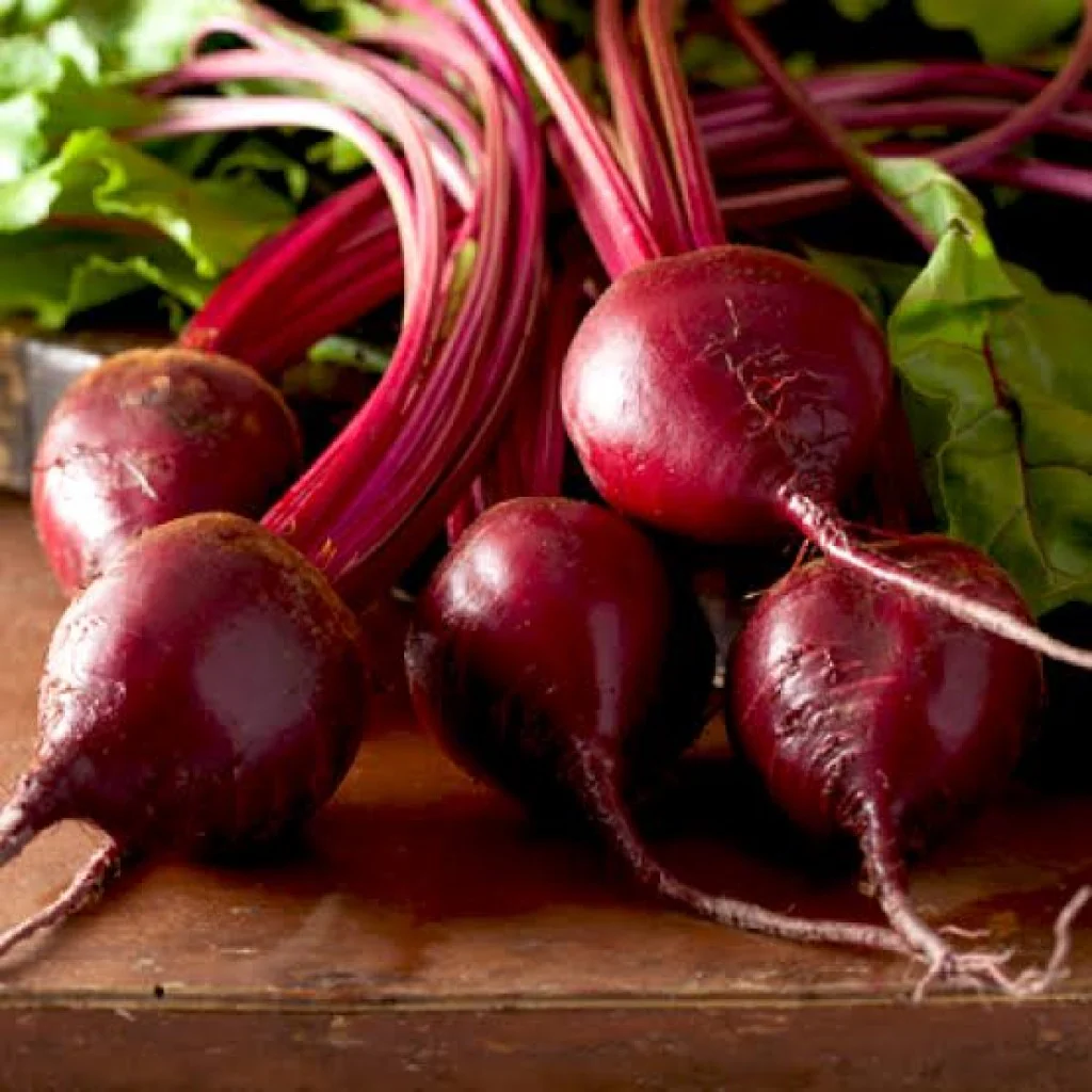 Beetroot Seeds- Ruby Queen - Image 2