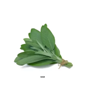 Sage Seeds-5GMS
