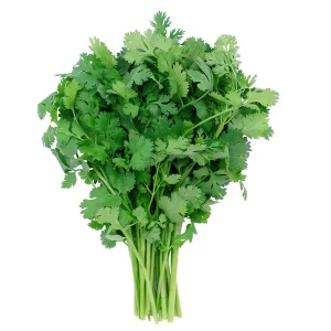 Coriander Seeds Whole