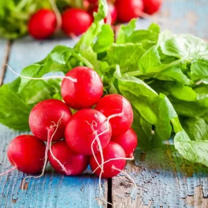 Radish Seeds Scarlet Globe