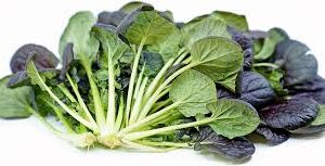TATSOI