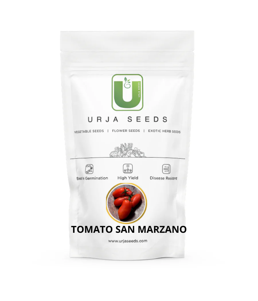 Tomato Seeds San Marzano -Kitchen Garden Packing - Image 2