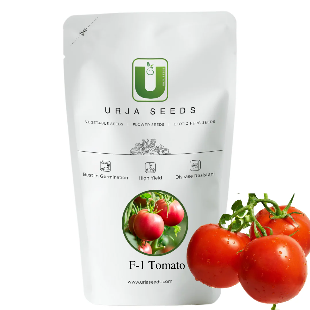 Tomato Seeds F-1 Hybrid Arjun 14115 - Image 2