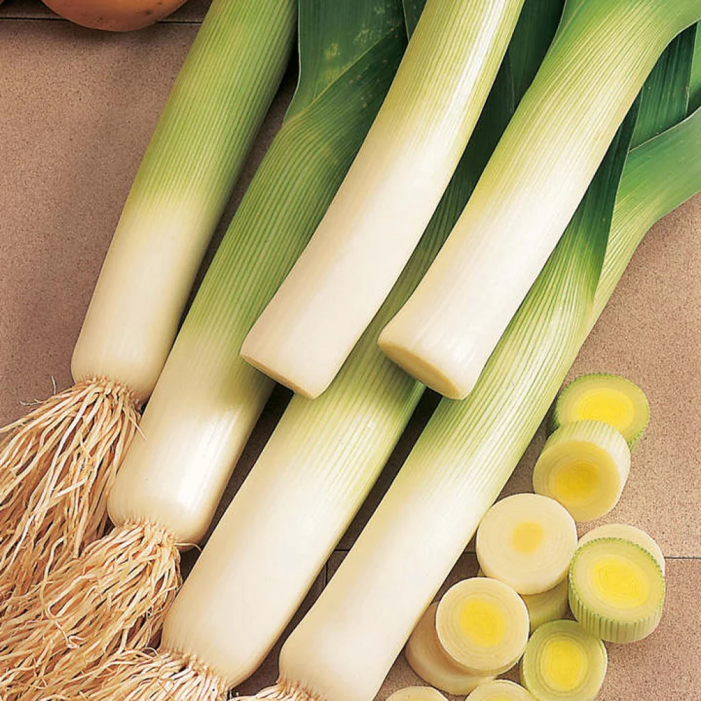Leek Seeds Prizetaker