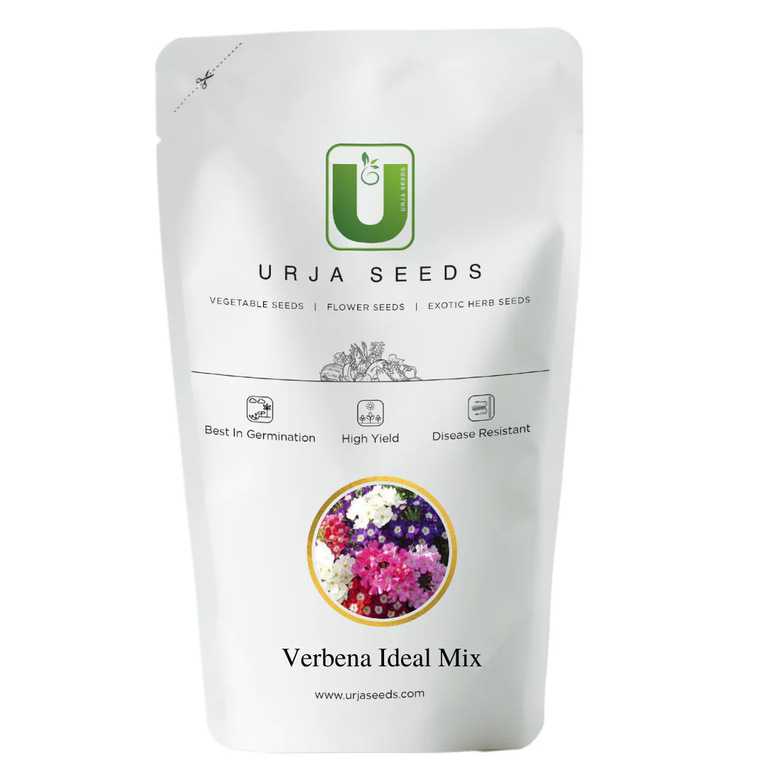 Verbena Ideal Mix-Flower Seeds - Image 2