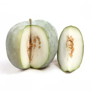Ash Gourd Seeds F-1 Hybrid US 102