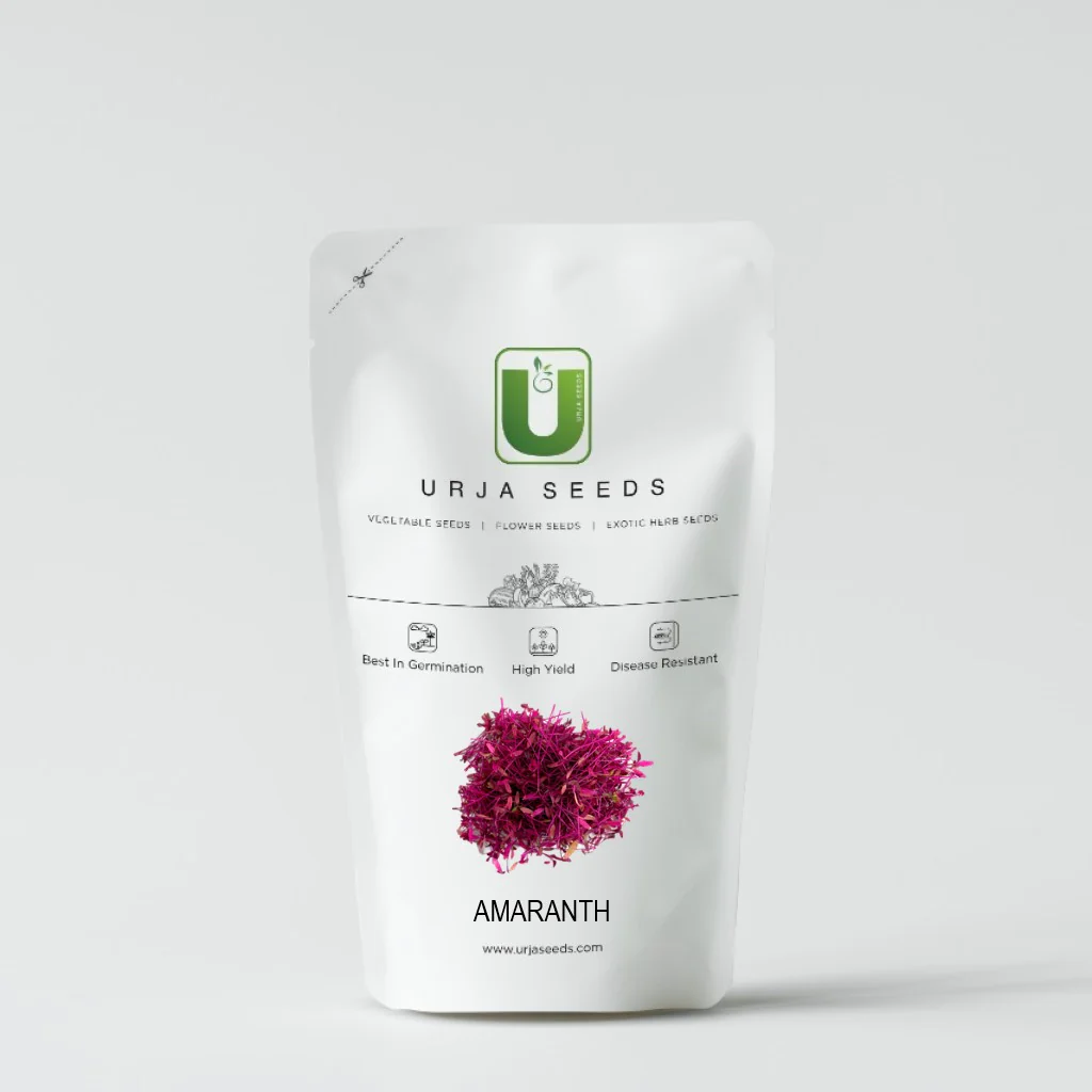 Amaranth Micro Green Seeds - Image 2