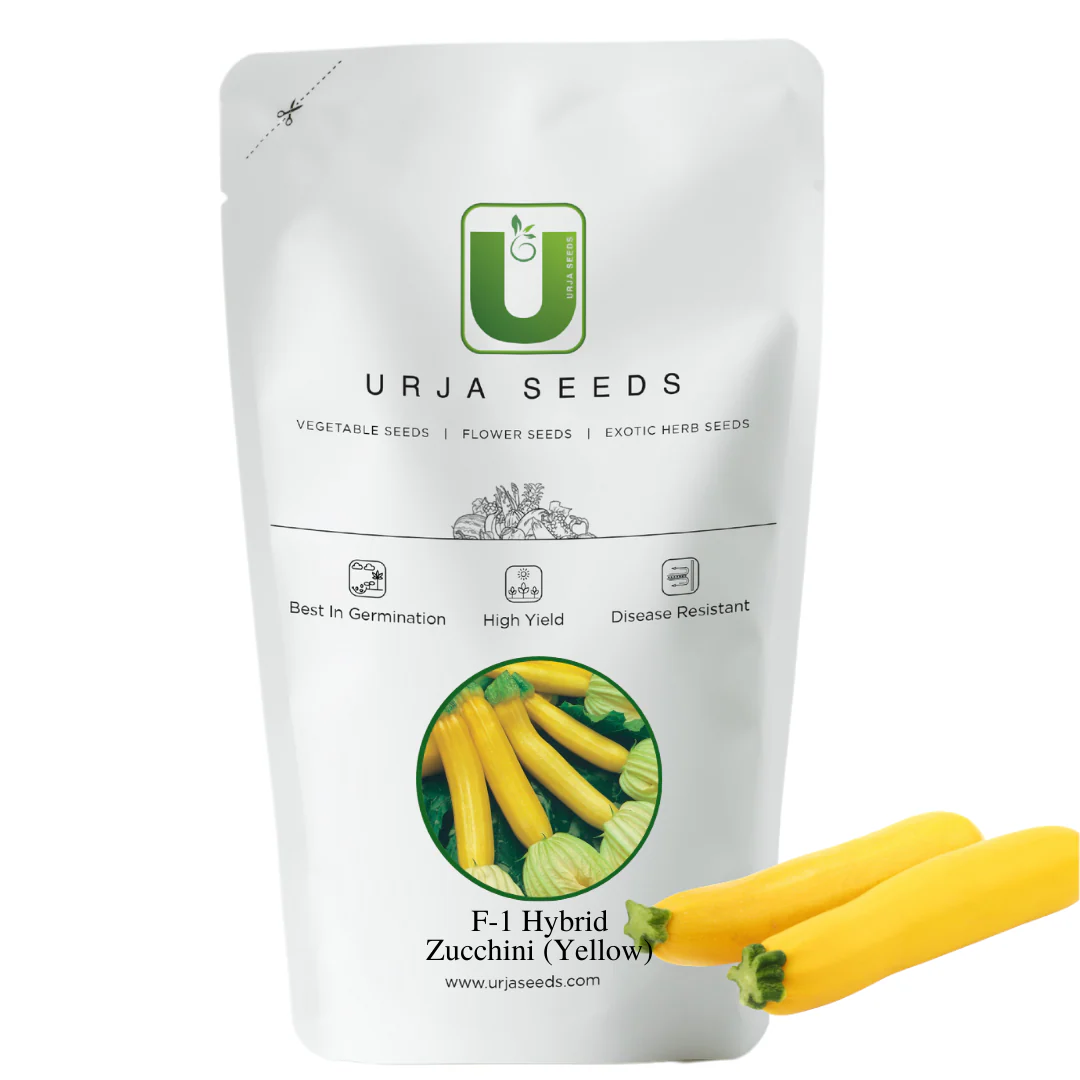 Zucchini Seeds F-1 Hybrid Yellow Beauty - Image 3