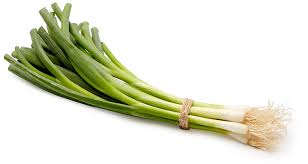 Bunching Onion Seeds - Image 3