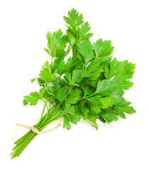 Coriander Imported Split