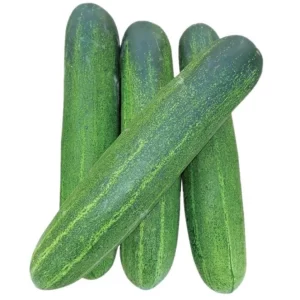 Cucumber Seeds F-1 Hybrid Thai Green