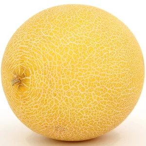 Muskmelon Seeds F-1 Hybrid US-111