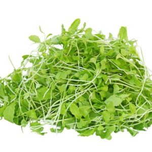 Green Mustard Micro green Seeds