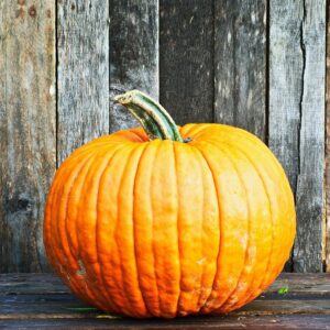 Pumpkin Seeds Connecticut -Kitchen Garden Packing