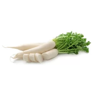 Radish Seeds F-1 Hybrid US-66