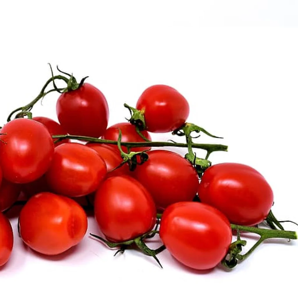 Tomato Seeds F-1 Hybrid US-99 (Indeterminate)