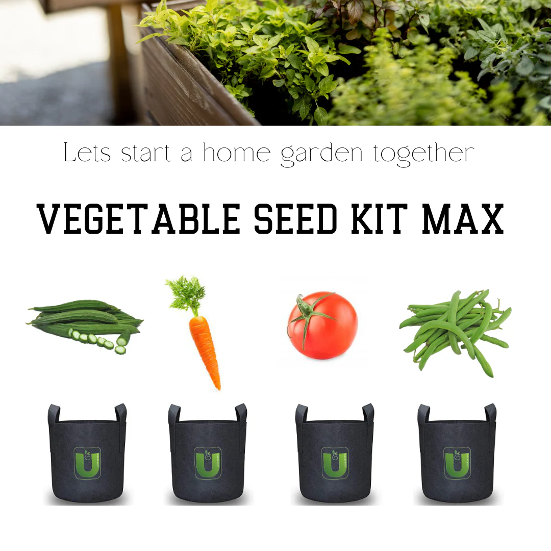 Vegetable Seed Kit MAX - Image 2