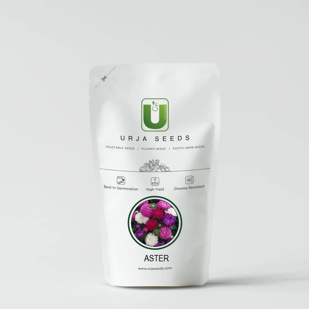 Aster Formula Mixed - Flower Seeds - Image 2